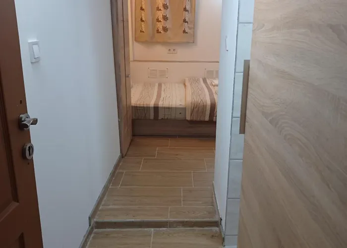 Center 5 * ソフィア